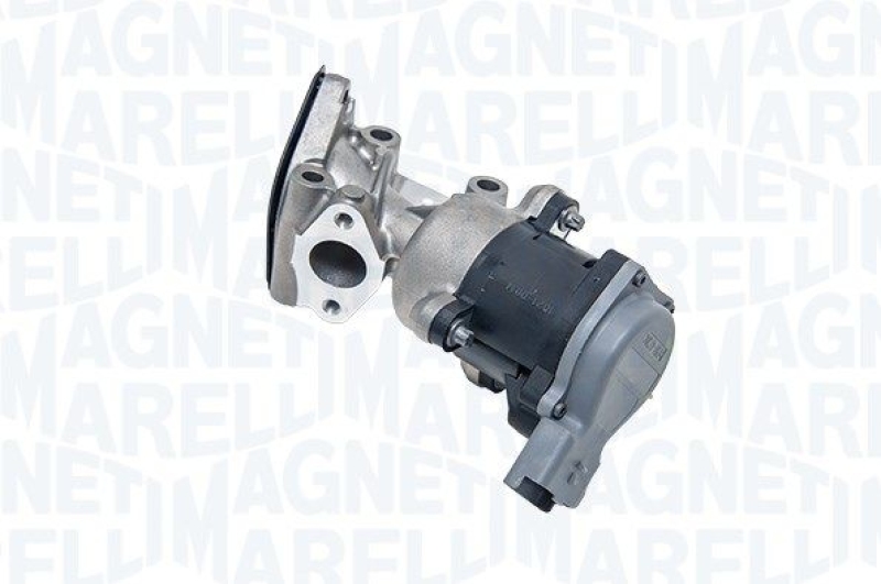 MAGNETI MARELLI EGR Valve