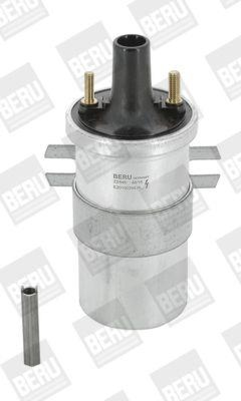 BorgWarner (BERU) Ignition Coil