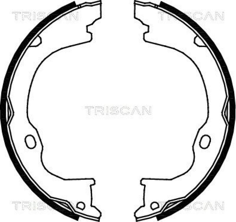 TRISCAN Brake Shoe Set, parking brake