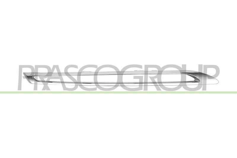 Trim/Protective Strip, radiator grille