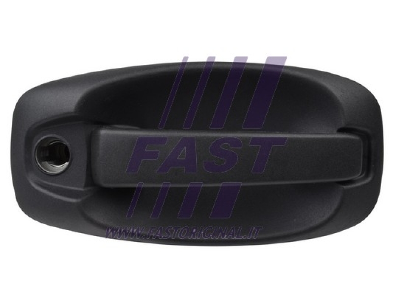 FAST Türgriff FT94555