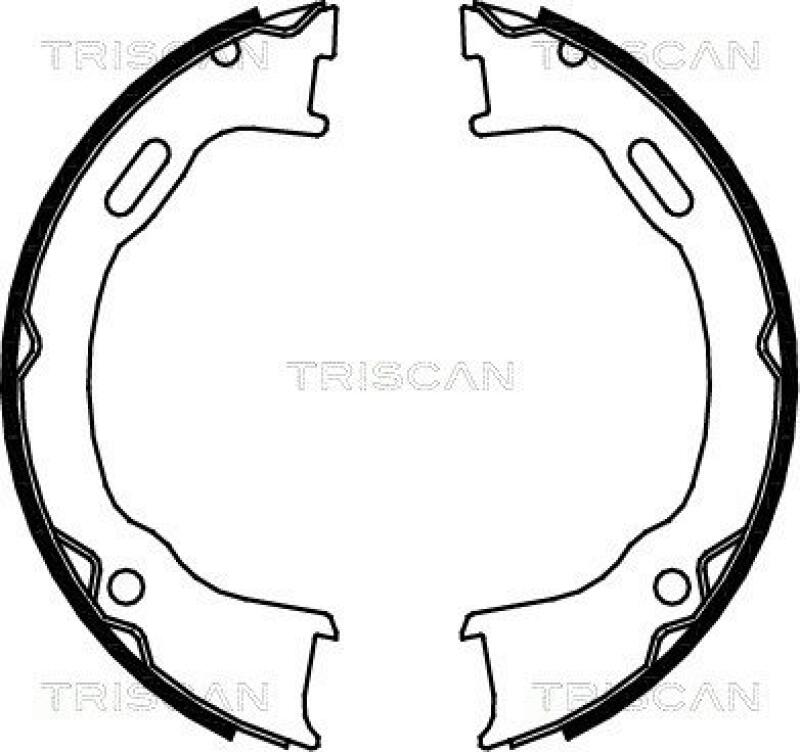 TRISCAN Brake Shoe Set, parking brake