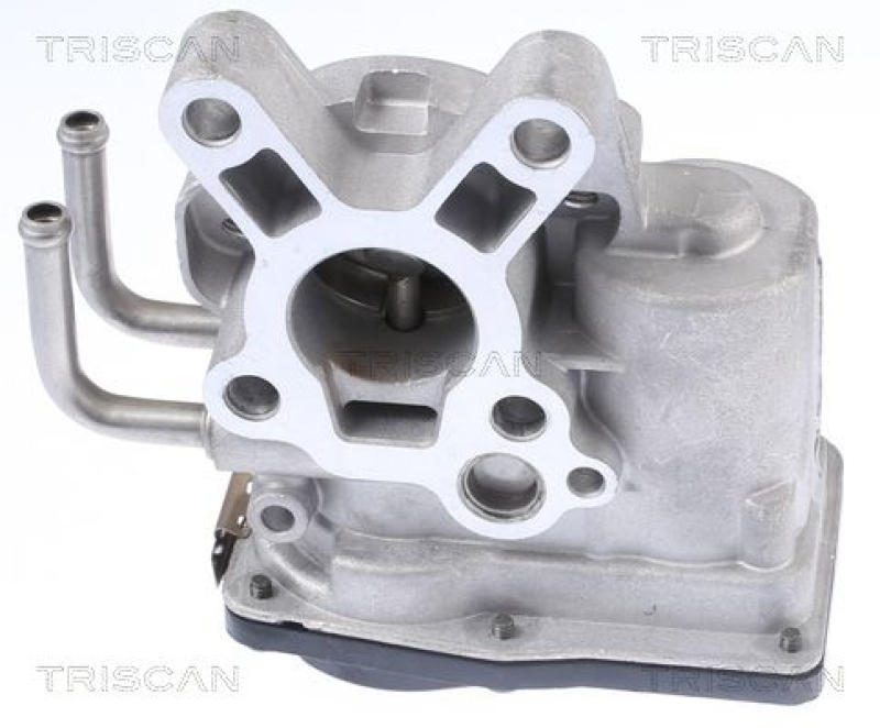 TRISCAN AGR-Ventil 8813 14010