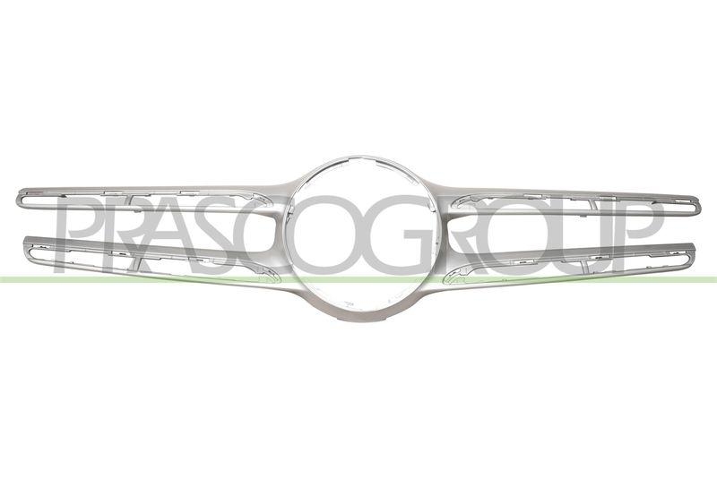 Trim/Protective Strip, radiator grille