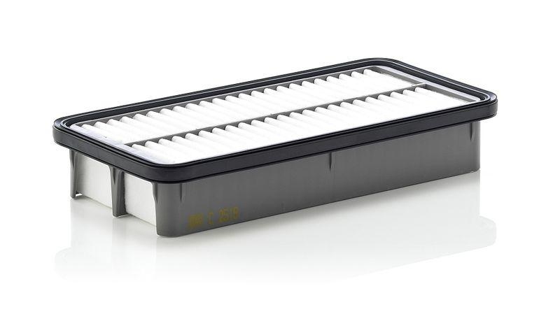 MANN-FILTER Luftfilter C 2519