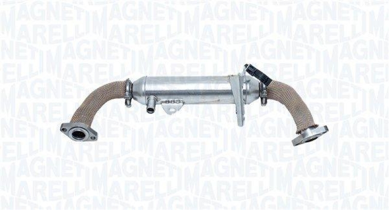 MAGNETI MARELLI EGR Valve