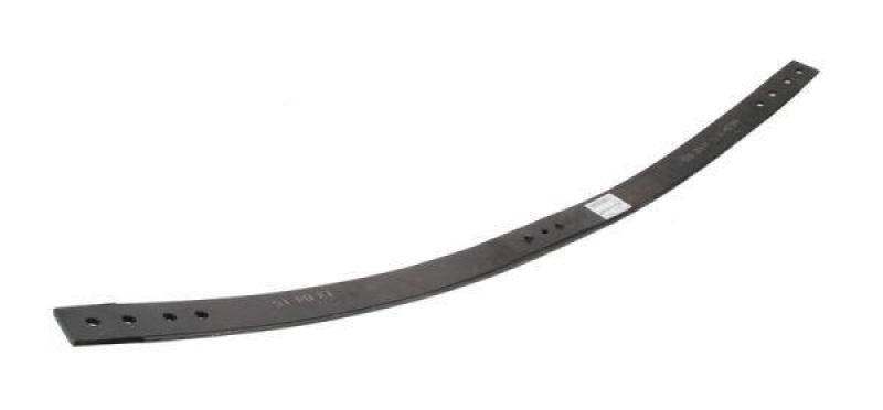 Magnum Technology Spring Leaf