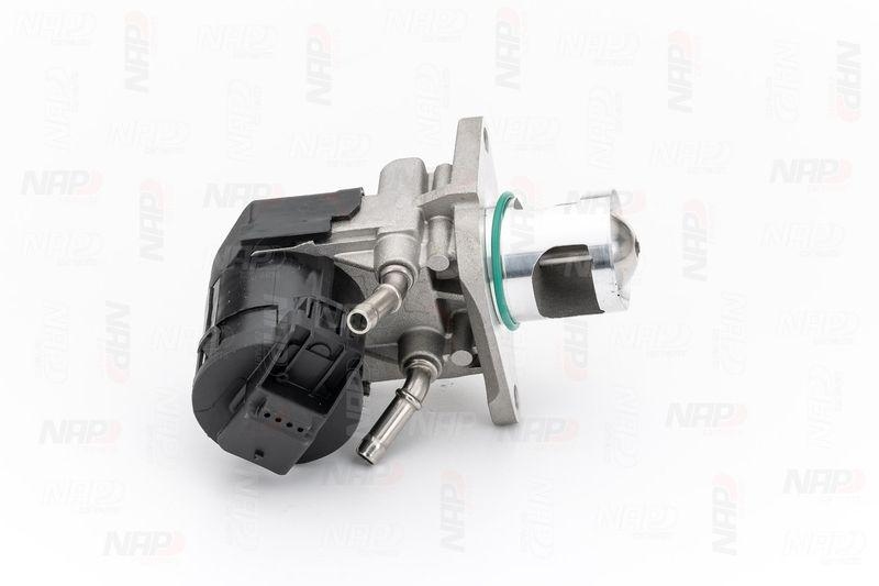 NAP carPARTS AGR-Ventil CAV10123