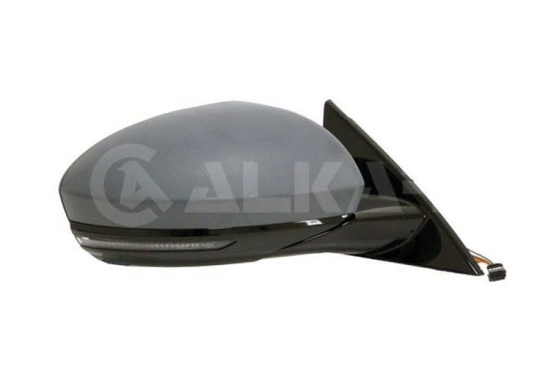 Exterior Mirror