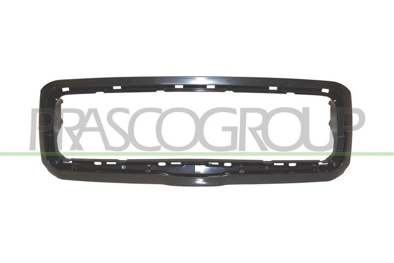 Frame, radiator grille