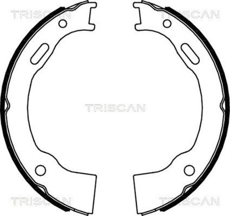TRISCAN Brake Shoe Set, parking brake