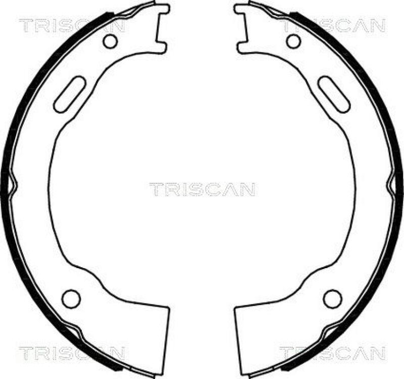 TRISCAN Brake Shoe Set, parking brake