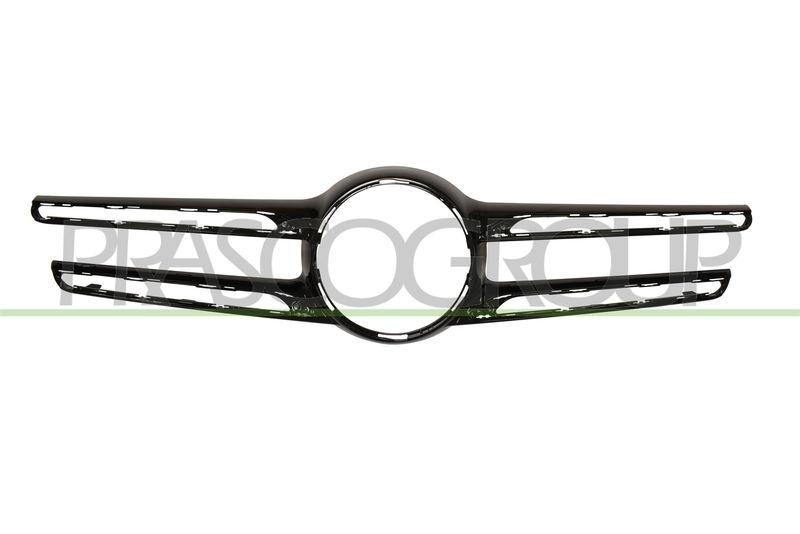 Trim/Protective Strip, radiator grille