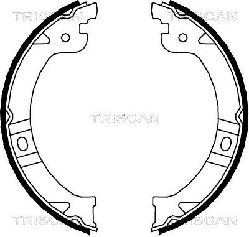 TRISCAN Brake Shoe Set, parking brake