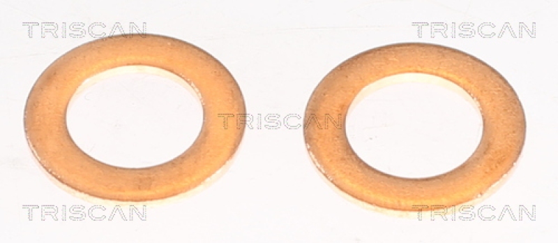 TRISCAN Bremsschlauch 8150 68130