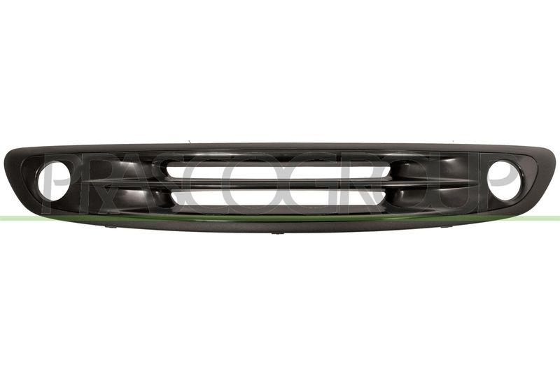 Radiator Grille