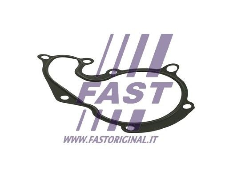 FAST Gasket, water pump