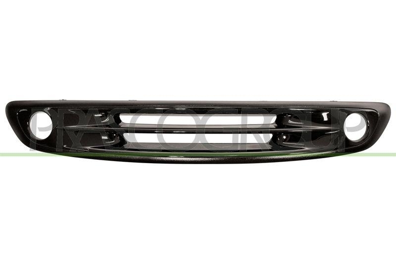 Radiator Grille