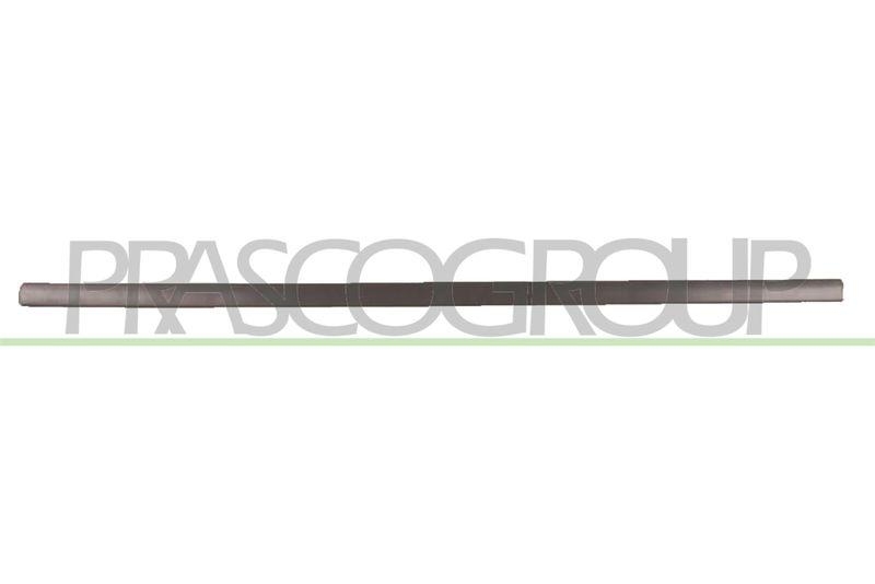 Trim/Protective Strip, door