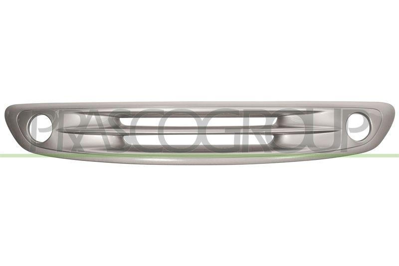 Radiator Grille