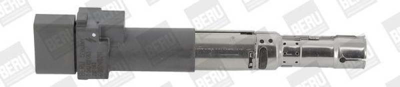 BorgWarner (BERU) Ignition Coil
