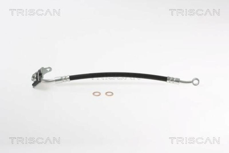 TRISCAN Bremsschlauch 8150 18117