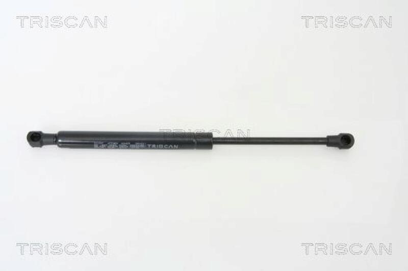 TRISCAN Gas Spring, boot-/cargo area