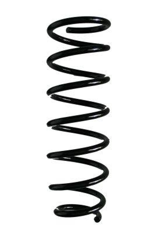 SPIDAN Suspension Spring