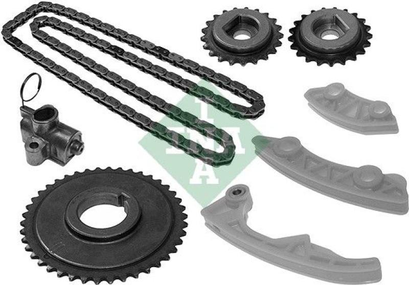 INA Timing Chain Kit