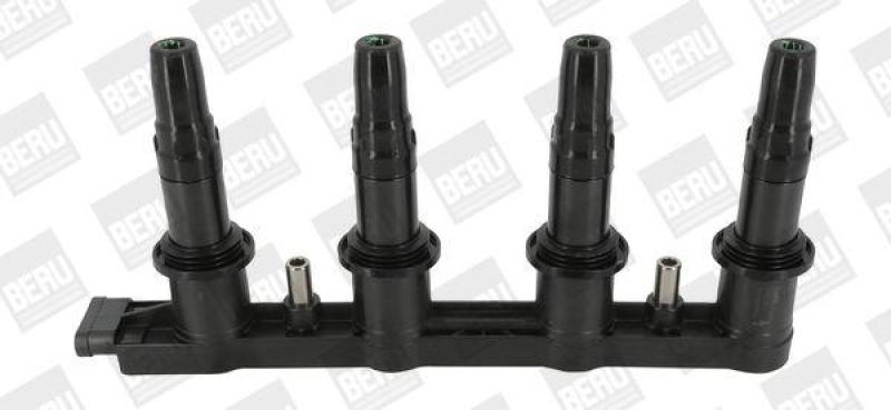 BorgWarner (BERU) Ignition Coil