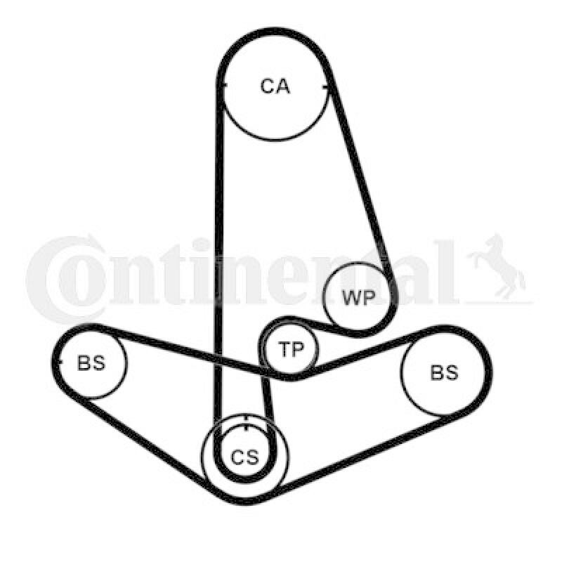 CONTINENTAL CTAM Timing Belt Set