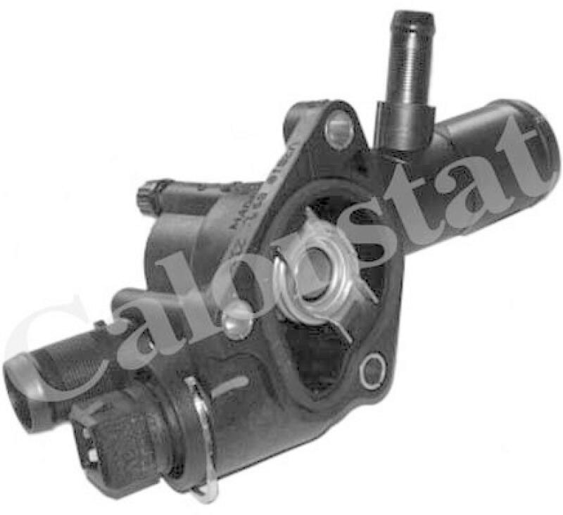 CALORSTAT by Vernet Thermostat, coolant