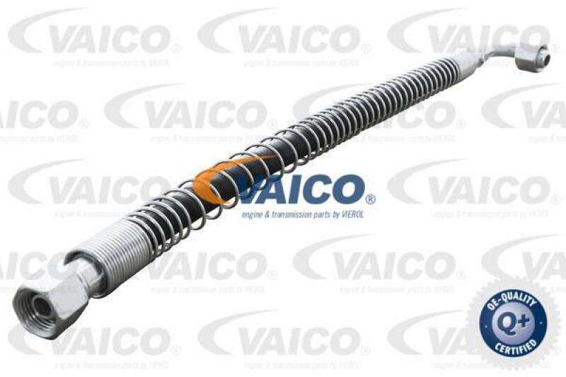 VAICO Hose, transmission oil cooler Q+, original equipment manufacturer quality