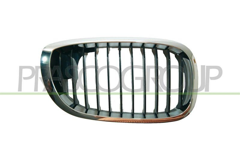 Radiator Grille