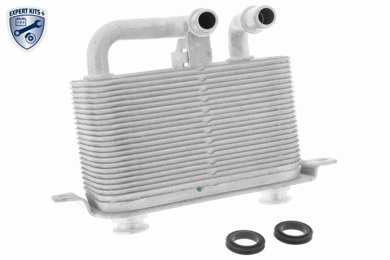 VEMO Oil Cooler, automatic transmission EXPERT KITS +