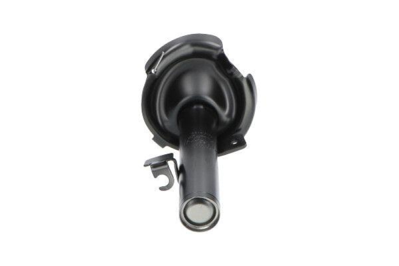 KAVO PARTS Stoßdämpfer