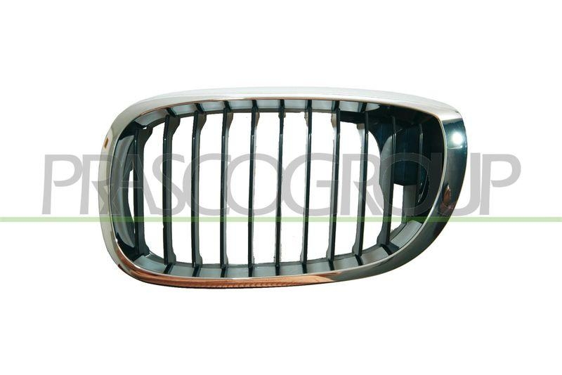 Radiator Grille