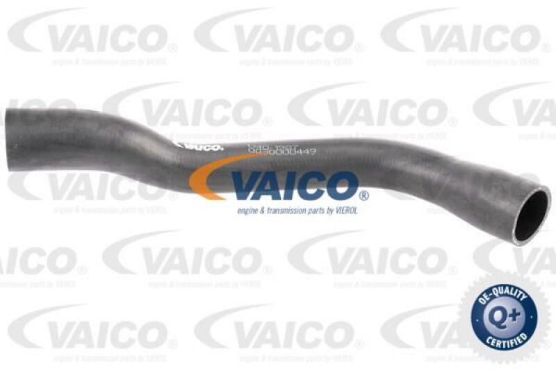 VAICO Breather Hose, fuel tank Q+, original equipment manufacturer quality