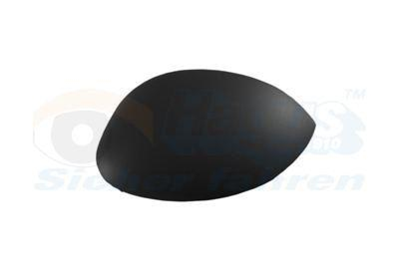VAN WEZEL Cover, outside mirror * HAGUS *