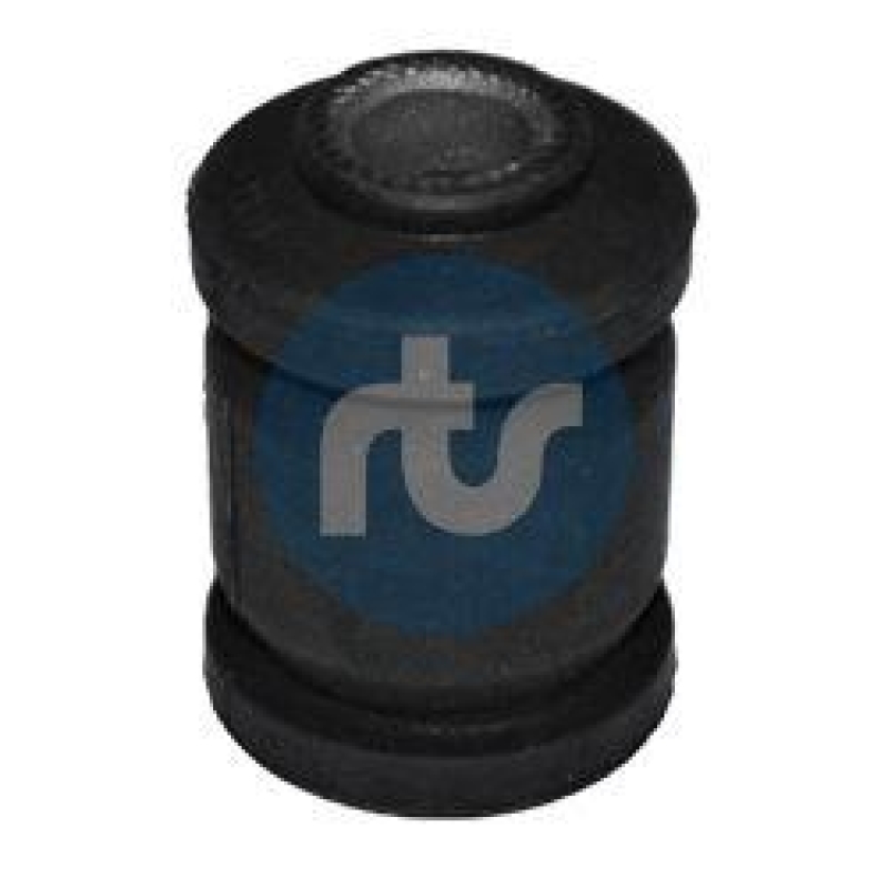 RTS Mounting, control/trailing arm