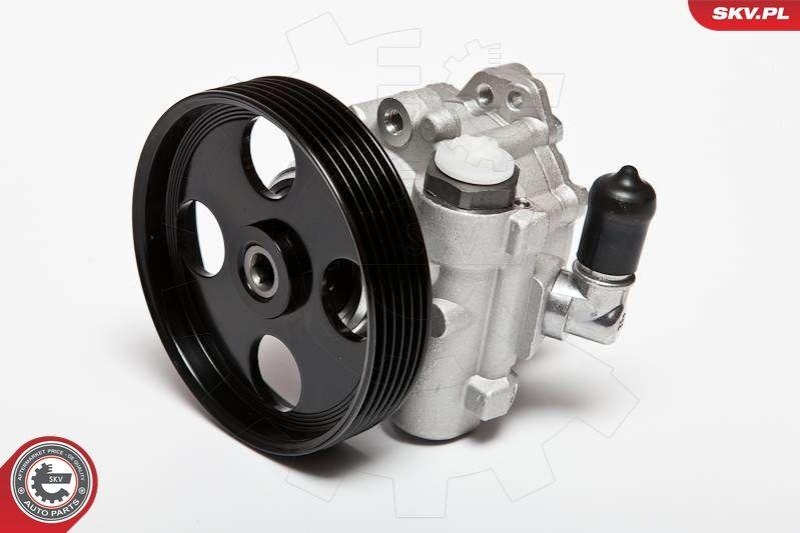 ESEN SKV Hydraulikpumpe, Lenkung