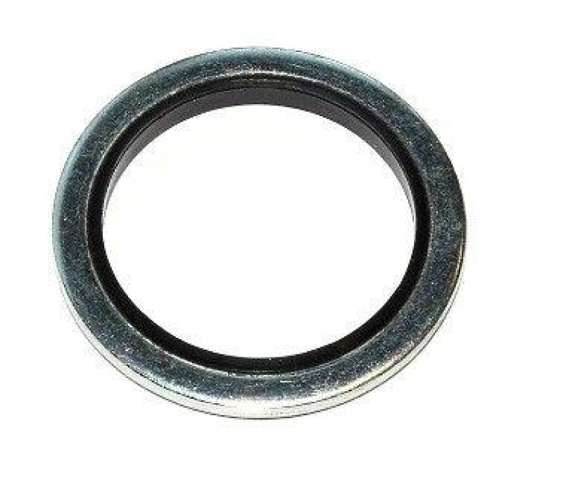 ELRING Dichtring