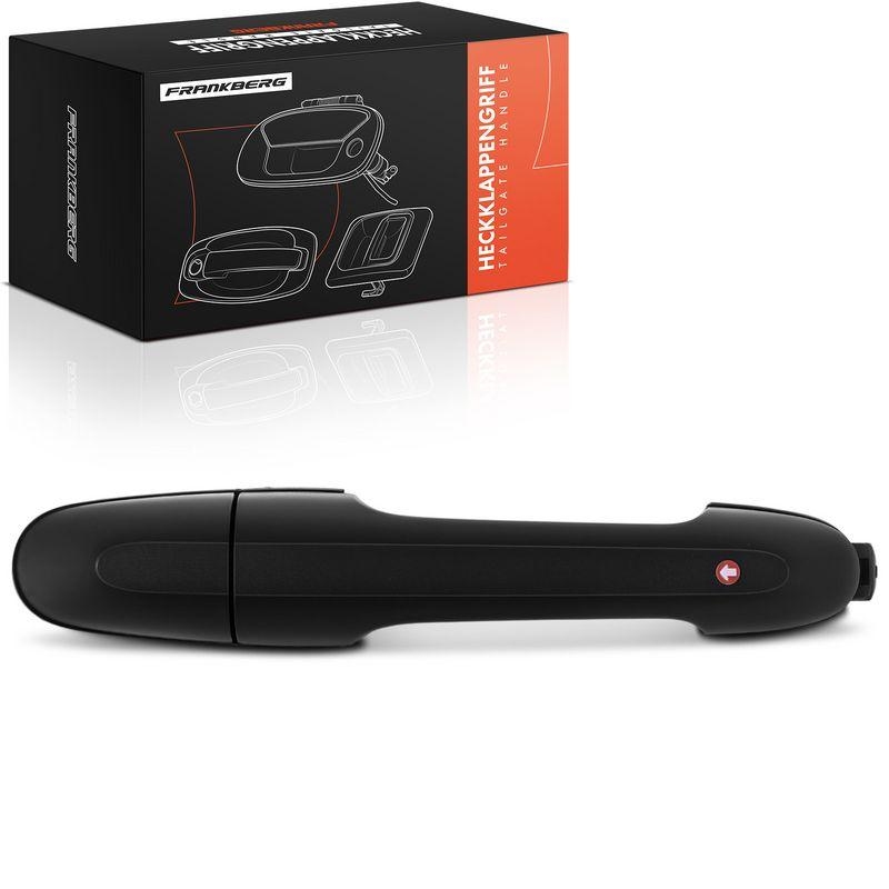 1x Frankberg T&uuml;rgriff Vorne Rechts au&szlig;en 5481FB0045786