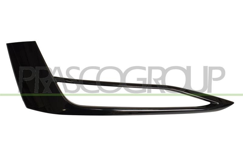 Holder, fog light