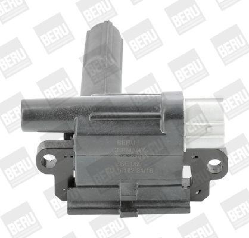 BorgWarner (BERU) Ignition Coil