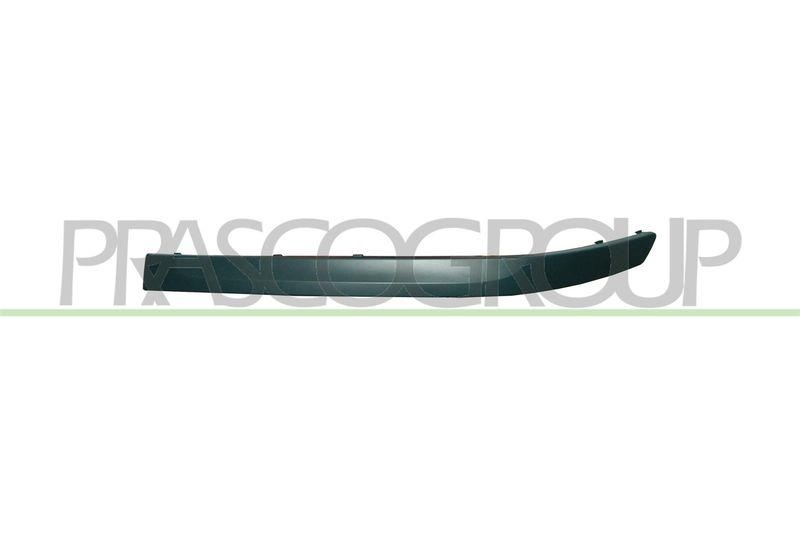 Trim/Protective Strip, bumper Premium