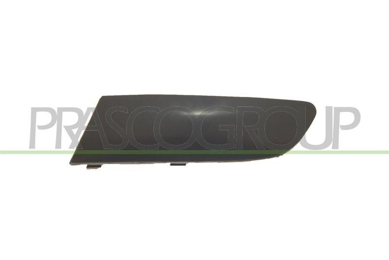 Trim/Protective Strip, bumper