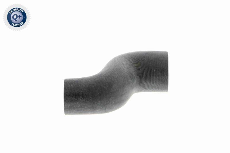 VAICO Radiator Hose Q+, original equipment manufacturer quality