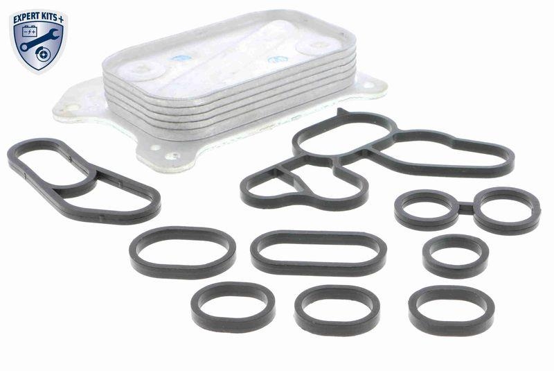 VEMO Ölkühler, Motoröl EXPERT KITS + V24-60-0001