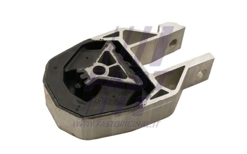 FAST Lagerung, Motor FT52029